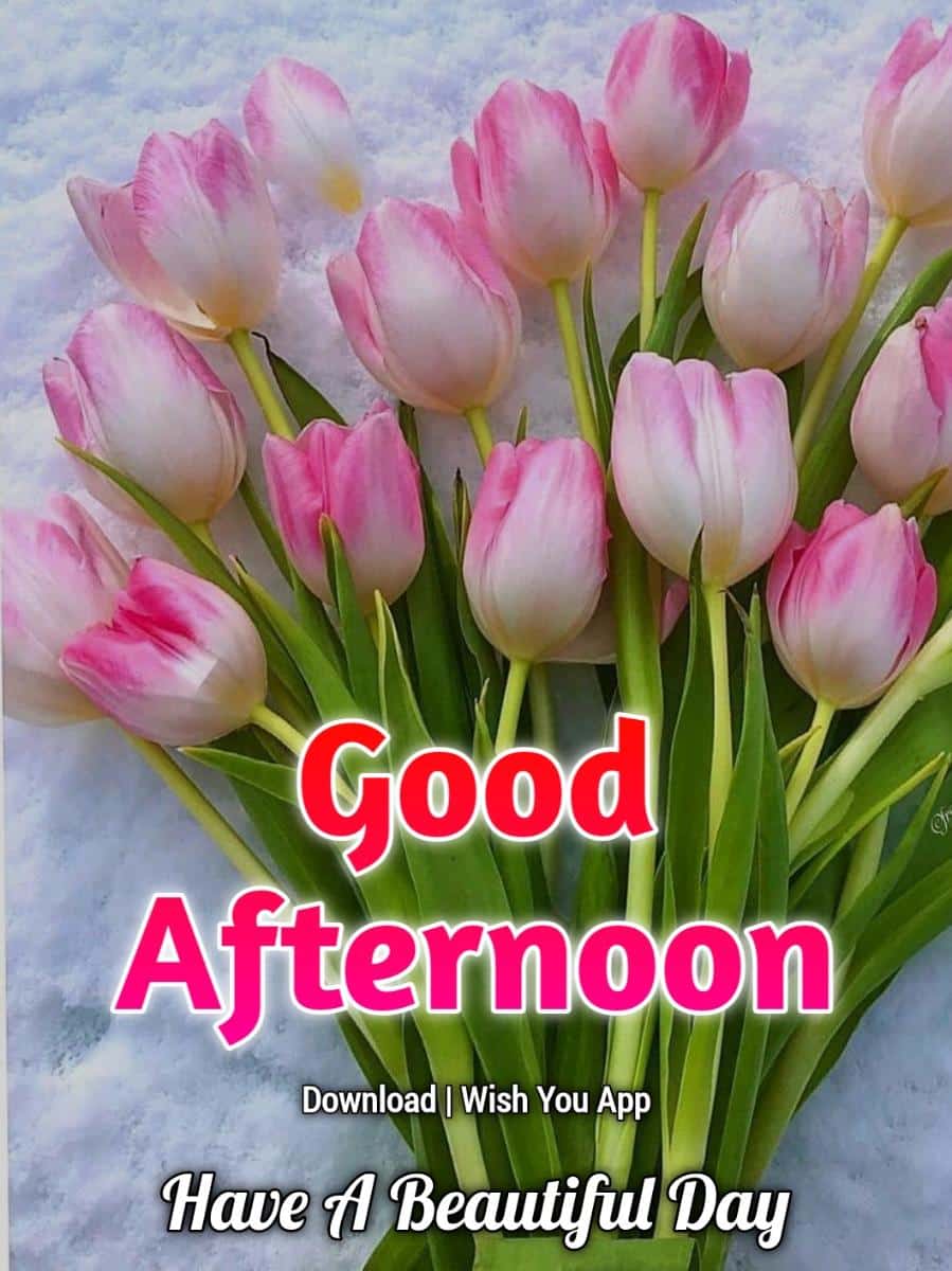 Good Afternoon Wishes In English