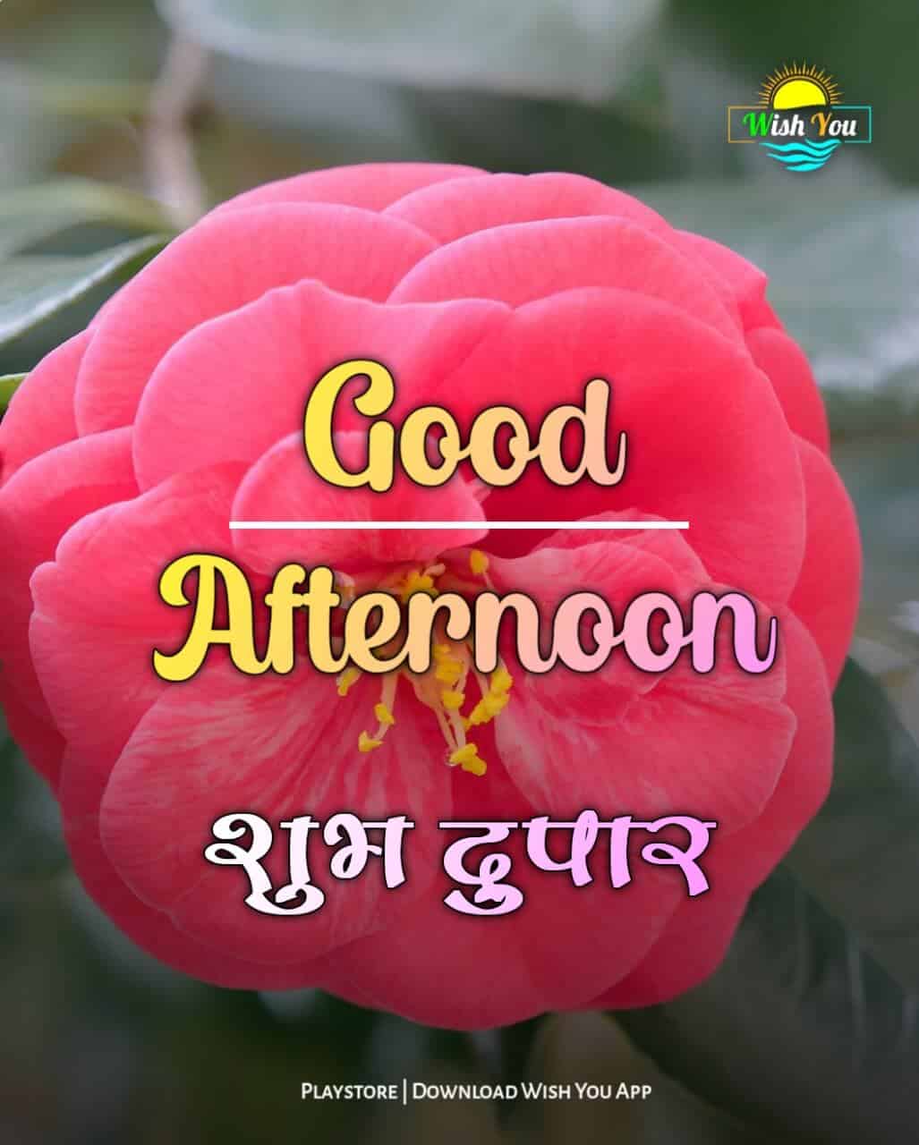 good afternoon शुभ दुपार