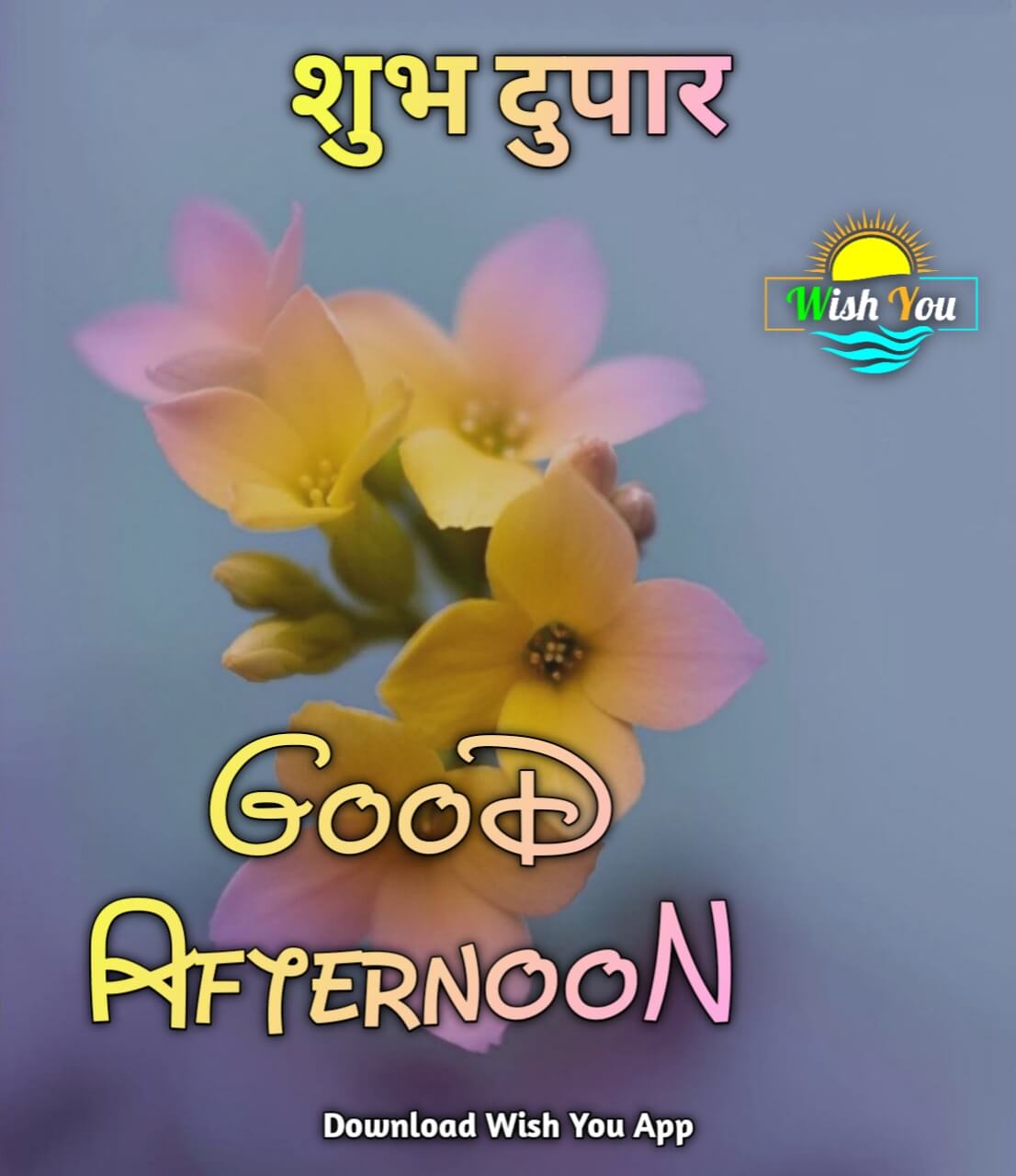 good afternoon शुभ दुपार