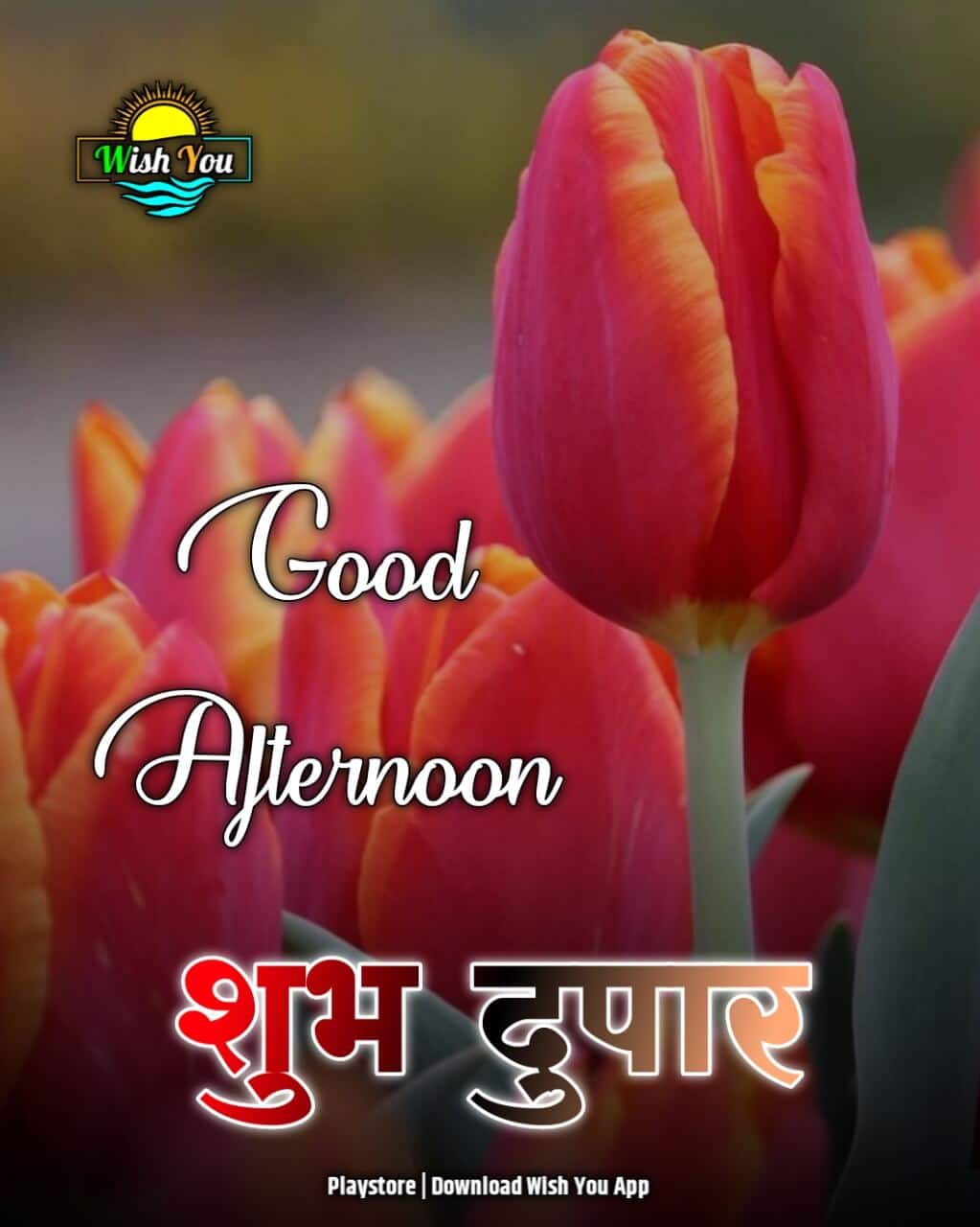 good afternoon शुभ दुपार