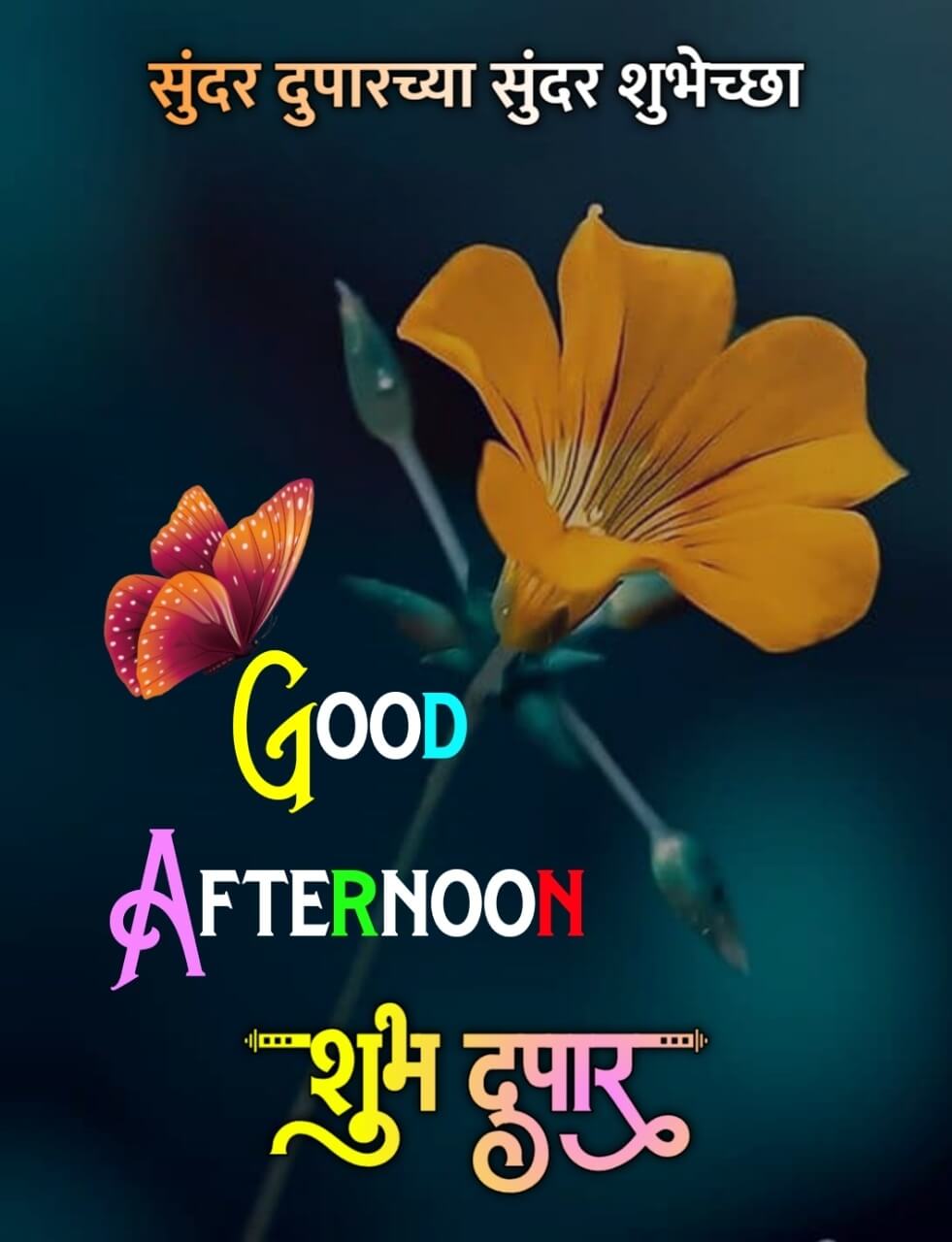 good afternoon शुभ दुपार