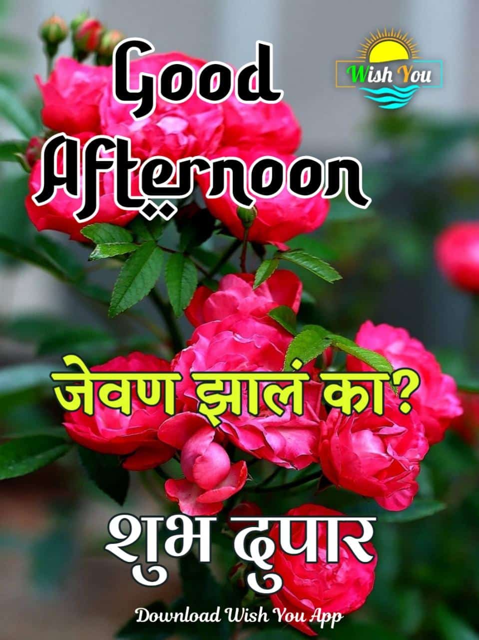 good afternoon शुभ दुपार फोटो