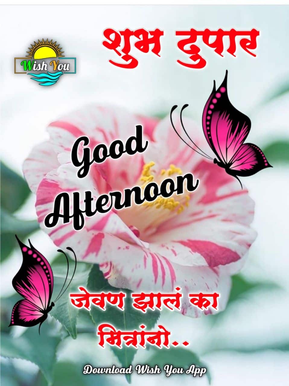 good afternoon शुभ दुपार फोटो