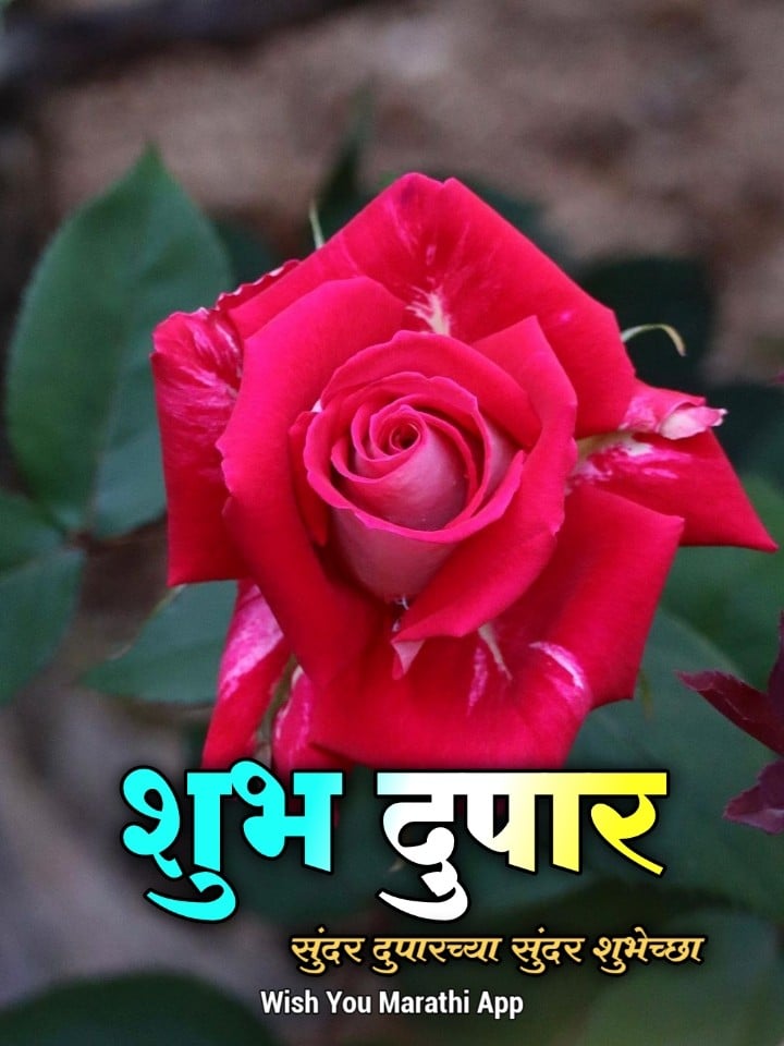 Shubh Dupar Wishes In Marathi