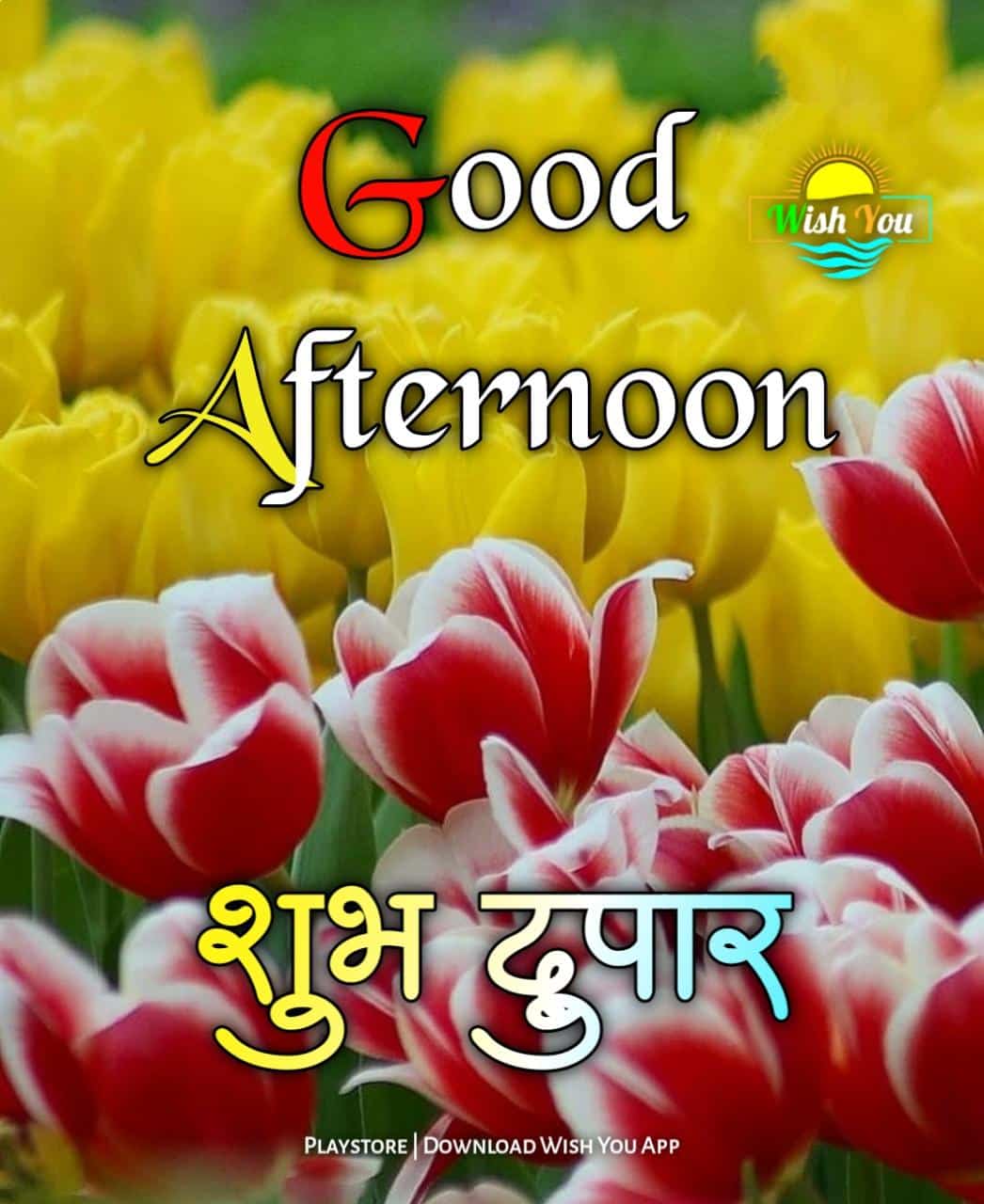 good afternoon शुभ दुपार फोटो