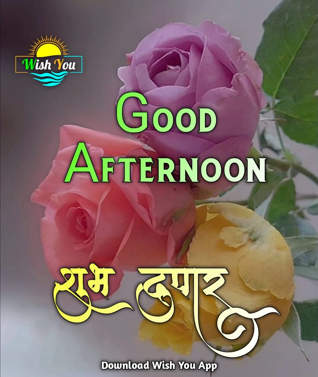 good afternoon शुभ दुपार फोटो