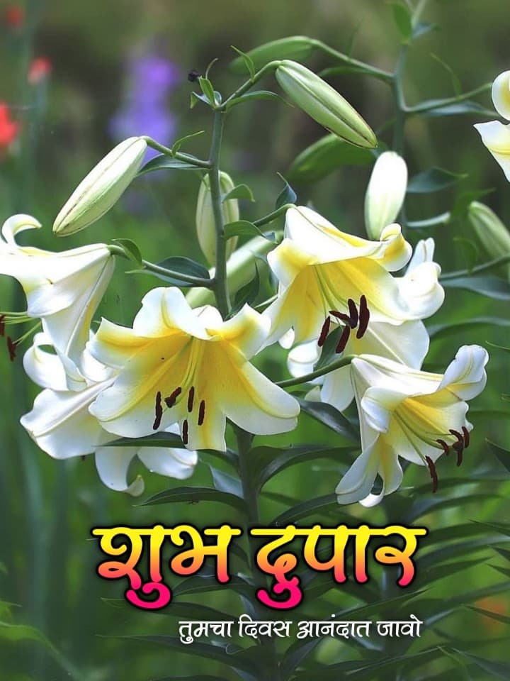 Shubh Dupar Wishes In Marathi