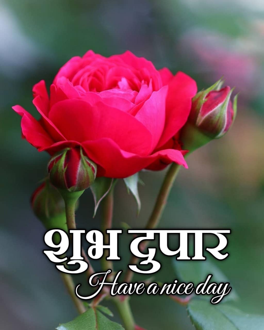 Shubh Dupar Images