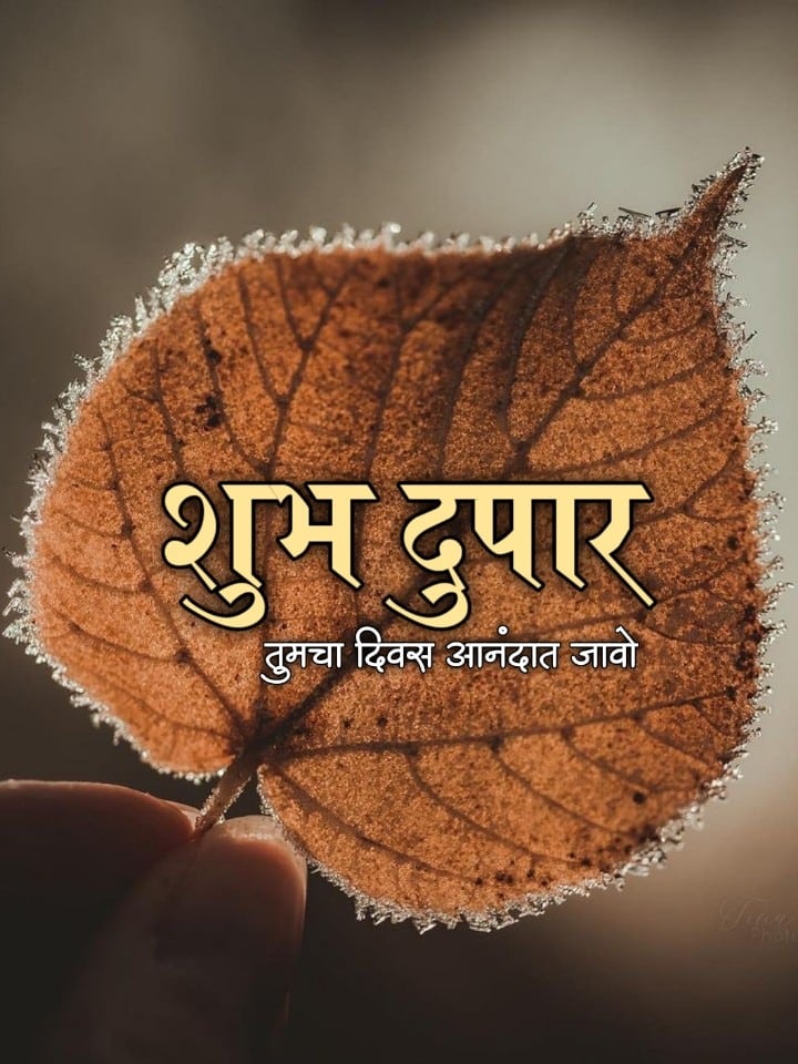 शुभ दुपार शुभेच्छा