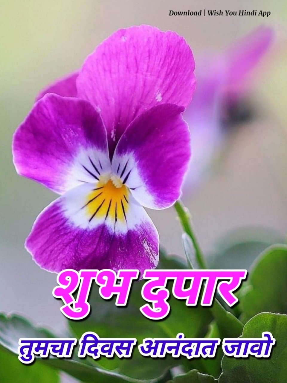 Shubh Dupar In Marathi