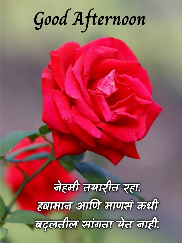 Good Afternoon In Marathi