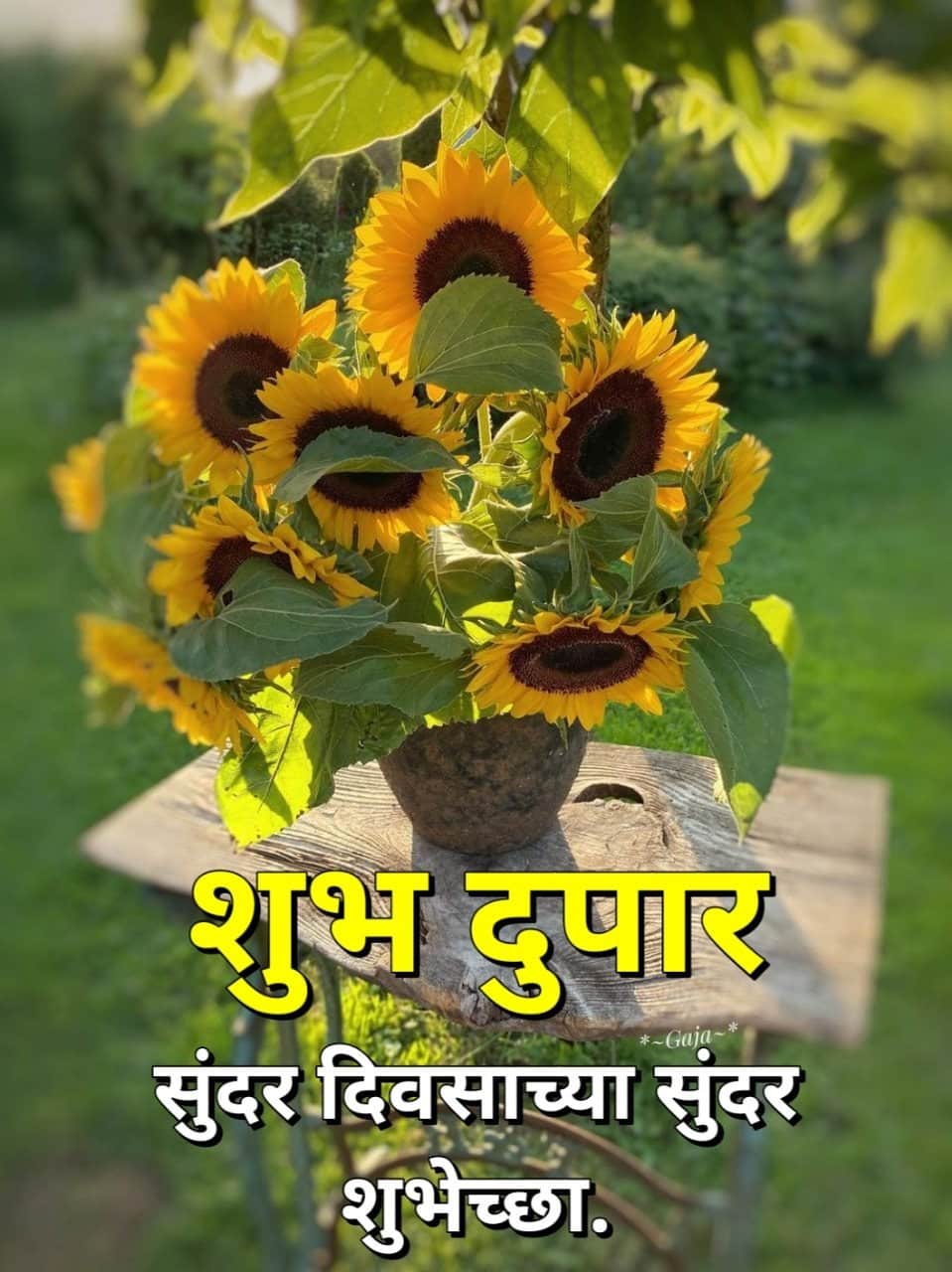 शुभ दुपार शुभेच्छा मराठी