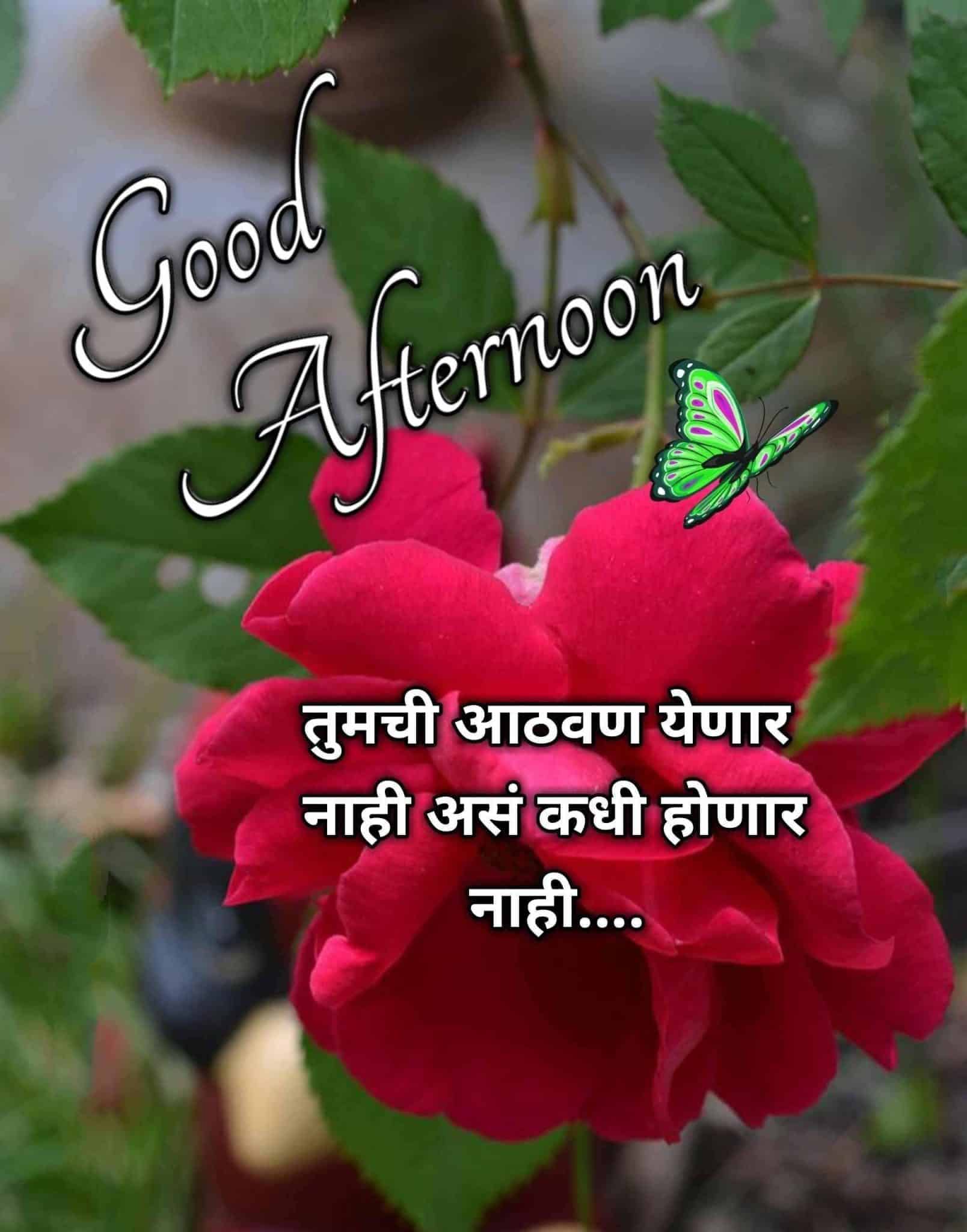 शुभ दुपार good afternoon marathi