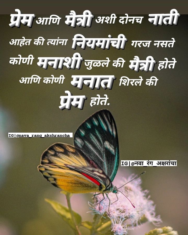 dosti quotes marathi