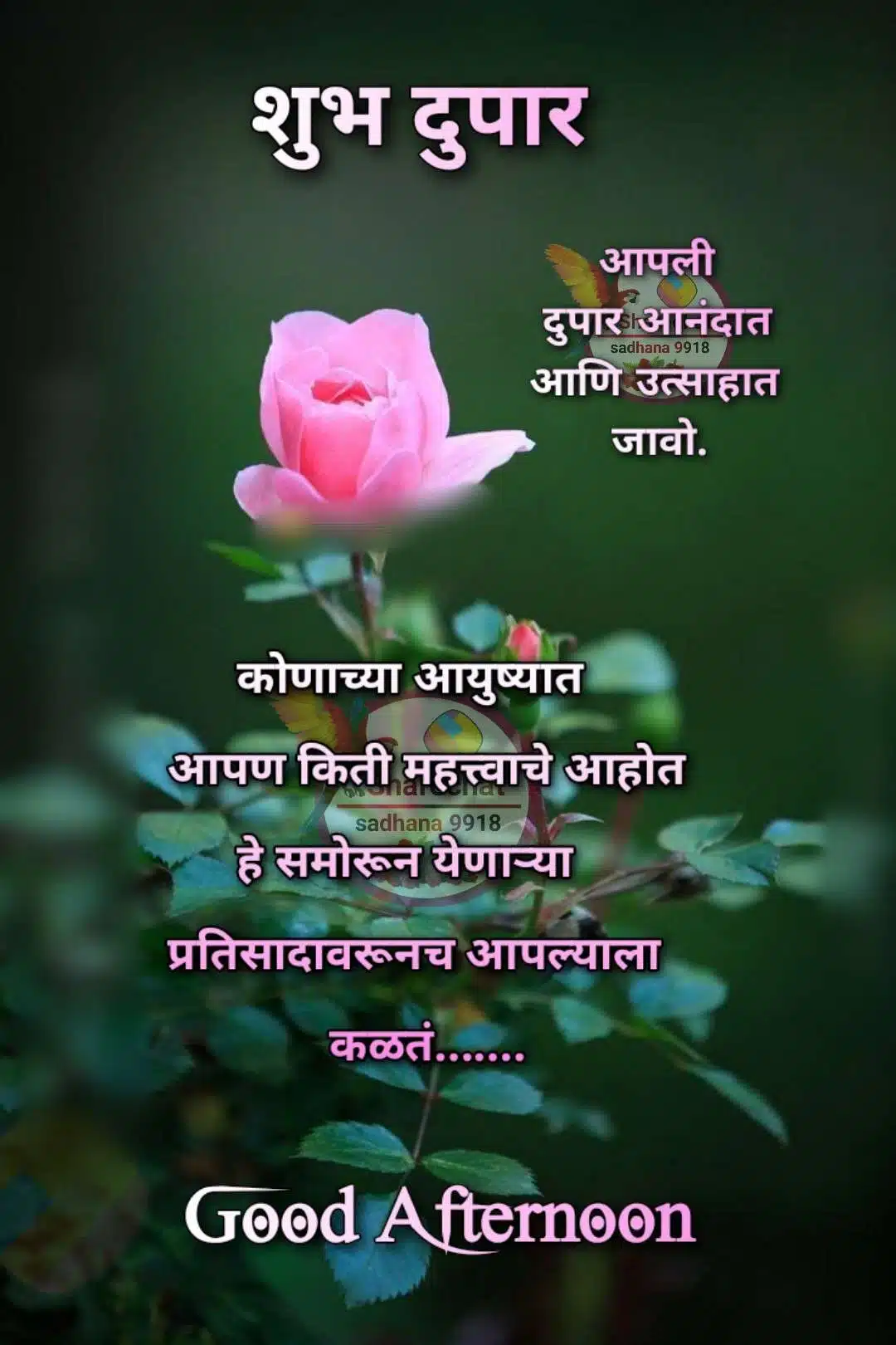 Good Afternoon In Marathi