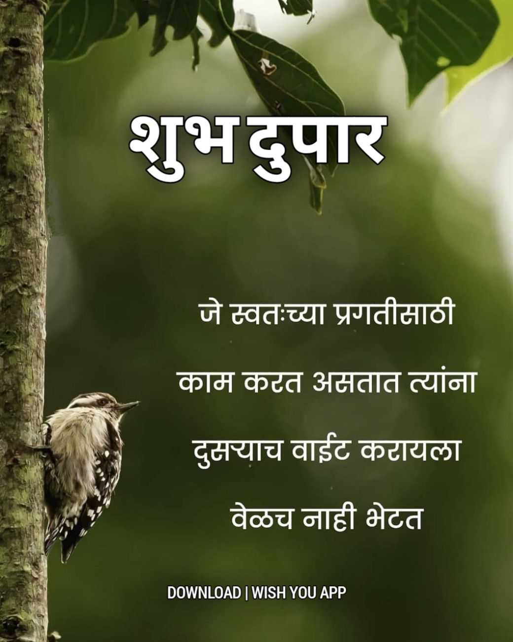 शुभ दुपार मराठी संदेश