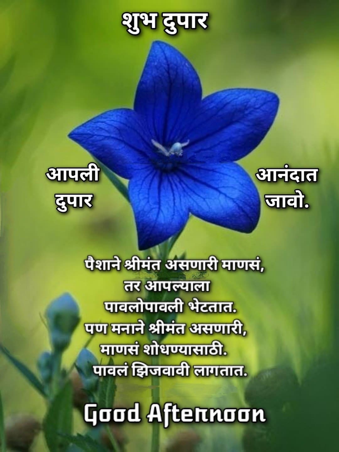 शुभ दुपार मराठी संदेश