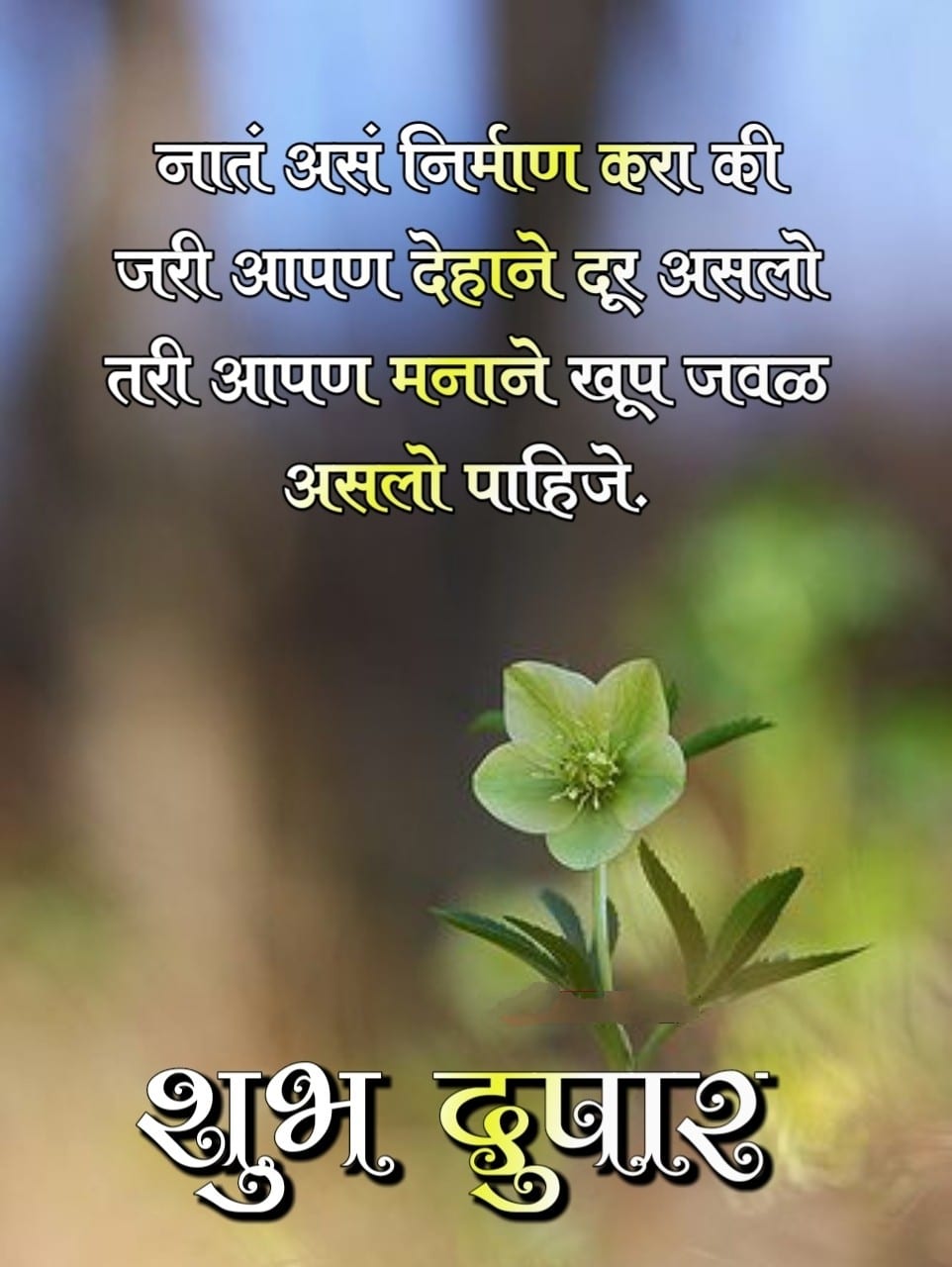 Shubh Dupar Marathi Message