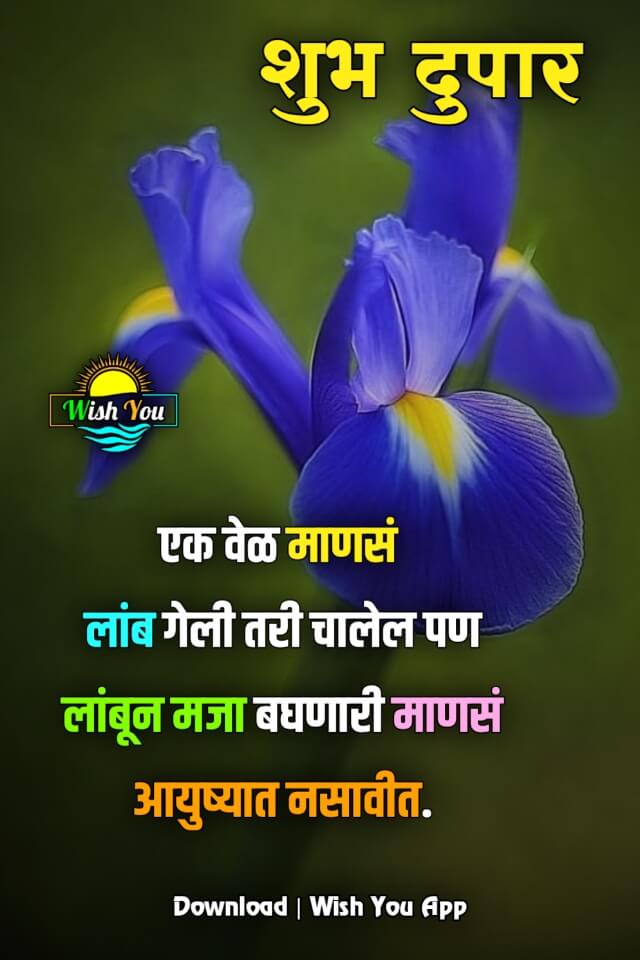 शुभ दुपार मेसेज