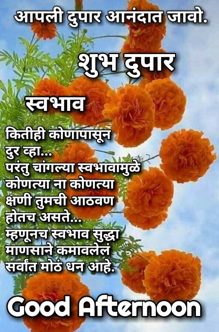 शुभ दुपार मेसेज