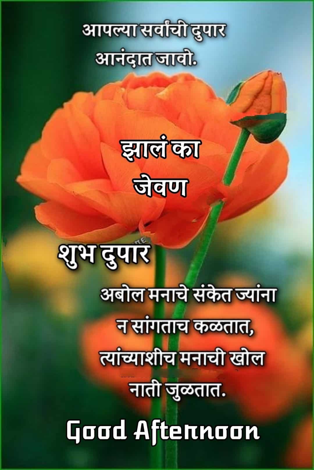 शुभ दुपार मेसेज