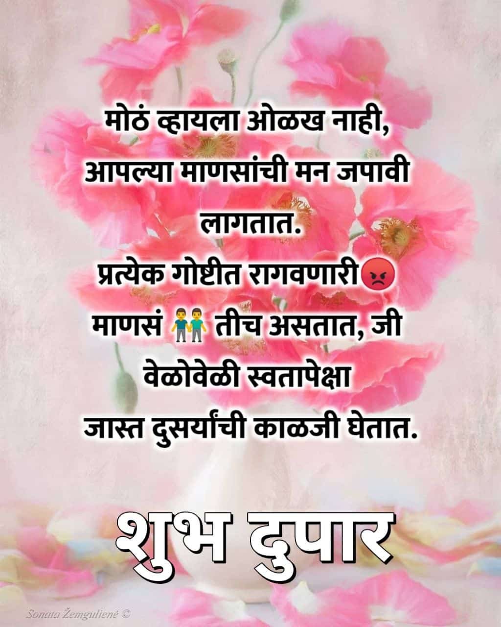 शुभ दुपार संदेश