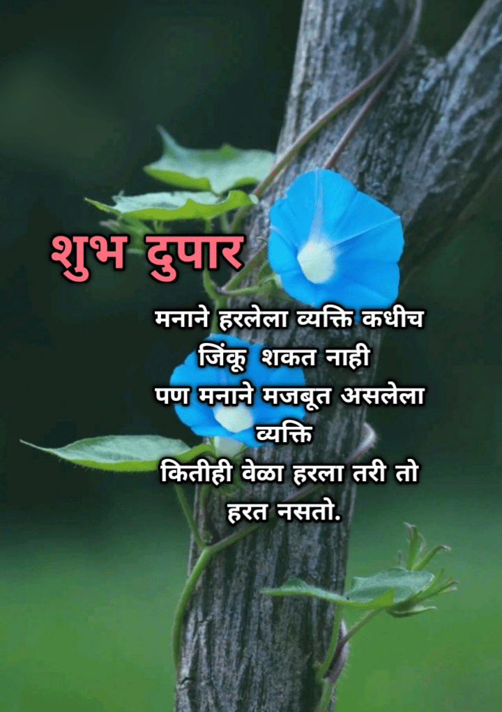 शुभ दुपार मेसेज