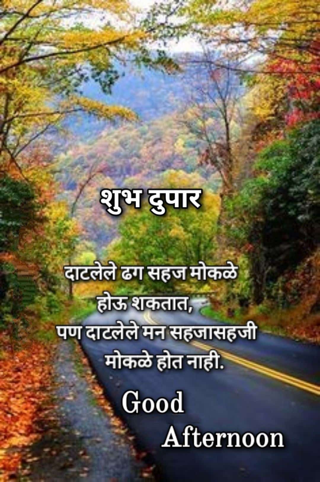 शुभ दुपार फोटो