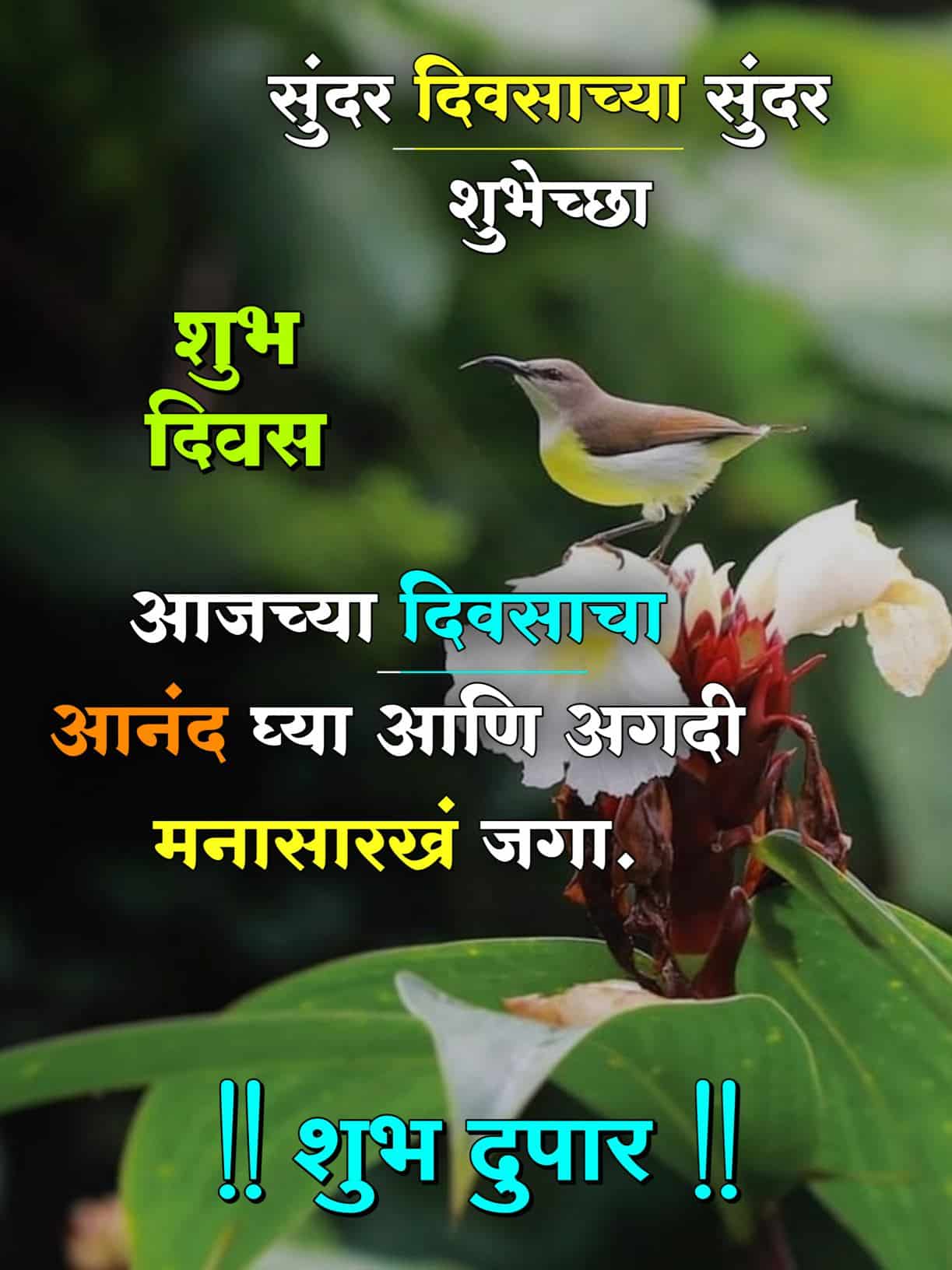 शुभ दुपार शुभेच्छा