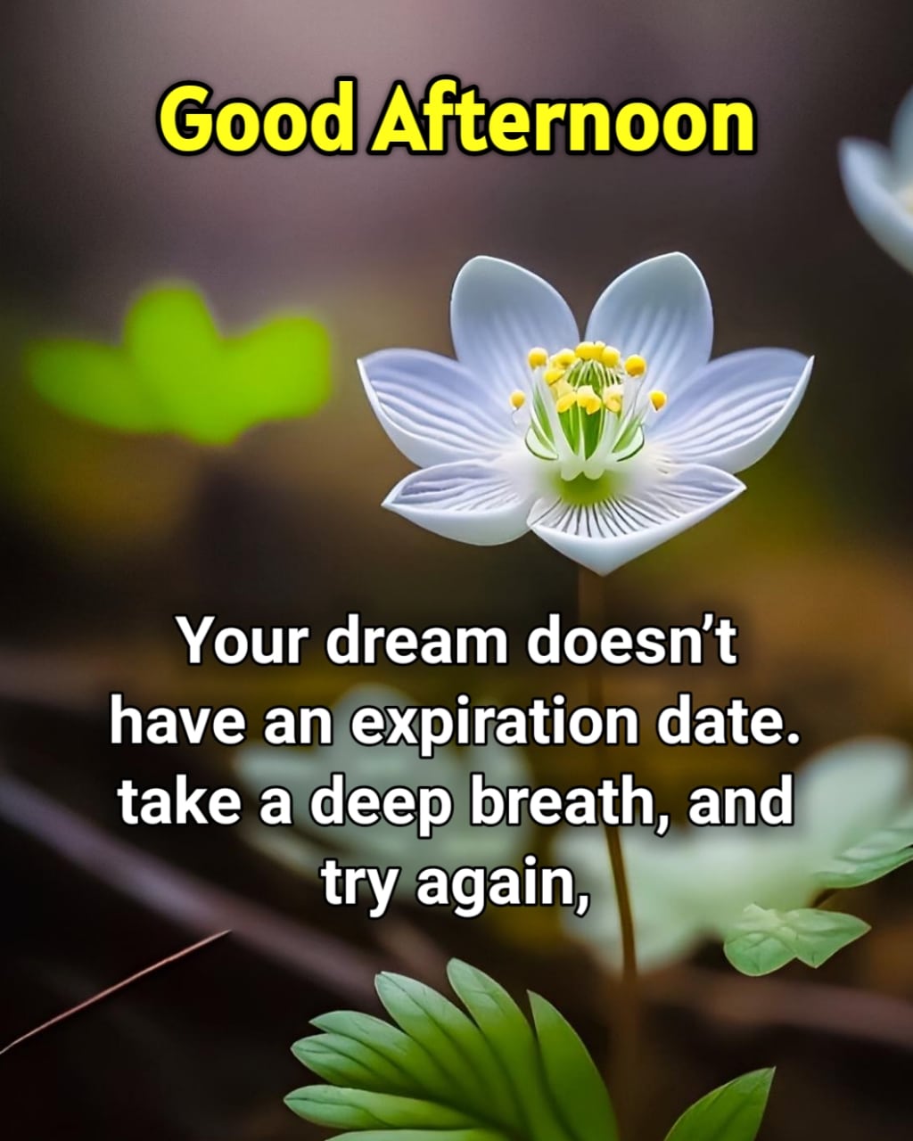 Good Afternoon Quotes ()